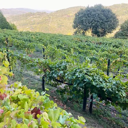 Casa De Santa Bárbara -