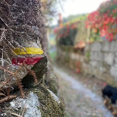 Casa De Santa Barbara - Πανσιόν Cinfaes