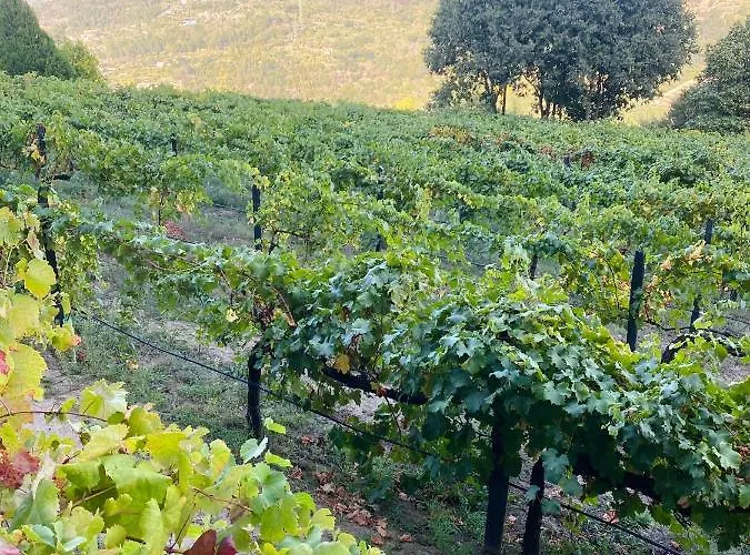 Casa De Santa Barbara -