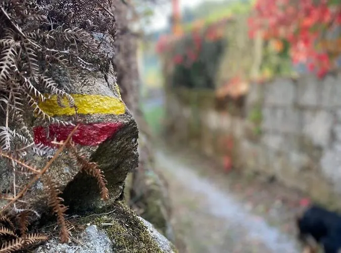 Casa De Santa Barbara - Gæstehus Cinfães