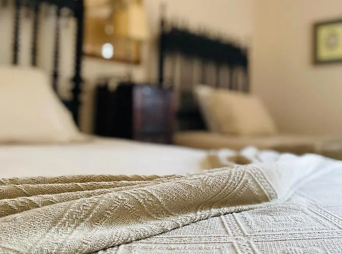 Gæstehus Casa De Santa Barbara - Cinfães